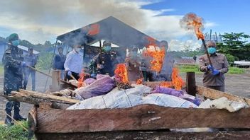 650公斤槟巴布亚新几内亚走私包在查亚普拉被印尼国民军摧毁