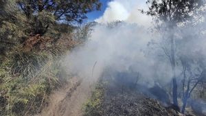 Un incendie foncier dans la région de Bromo Widodaren de Savana