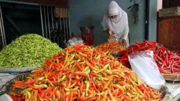 赤唐辛子の価格が90万ルピアに達し、DKIは南スラウェシから1日3トンの配布を準備