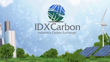 Entering The Carbon Exchange October 23, PLN NP Will Trade 1 Million Tons Of CO2