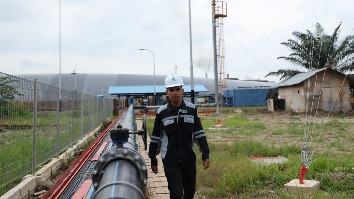 Siap Pasok Energi Bersih, PLN Berhasil Uji Coba Pembangkit Listrik Biogas di Riau