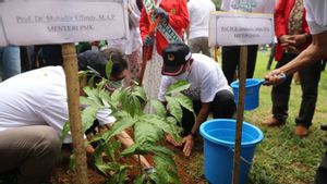 Menko PMK Gencarkan Penanaman 10 Juta Pohon untuk Mitigasi Bencana