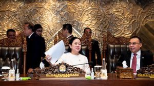 Puan Claims There Are Mega-Prabowo Talks About The Entry Of Budi Gunawan In The Cabinet