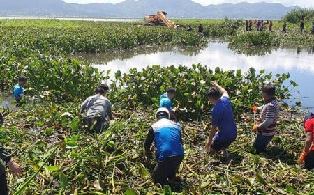 Danau Tondano Sulut Semakin Menyusut dan Dangkal