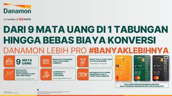 Danamon LEBIH PRO 具有多种功能的外汇储蓄产品