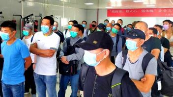 ルフトは、わずか3,500人の中国人外国人労働者がインドネシアに入国したと言いました、ファイサル・バスリ:月に1,000人になる可能性がありますが