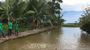 Ditetapkan KKP Sebagai Kampung Ikan Air Tawar, Desa Sebakung di Penajam Bakal Penuhi Kebutuhan Ikan di IKN