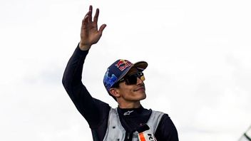 Gresini Determines The Occupants Of The Right Side To Work On Ending The Marquez Brothers' Feud