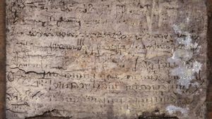 800-Year-Old Merchant's Book Found in Medieval Toilet in Germany, Still Intact but Smelly