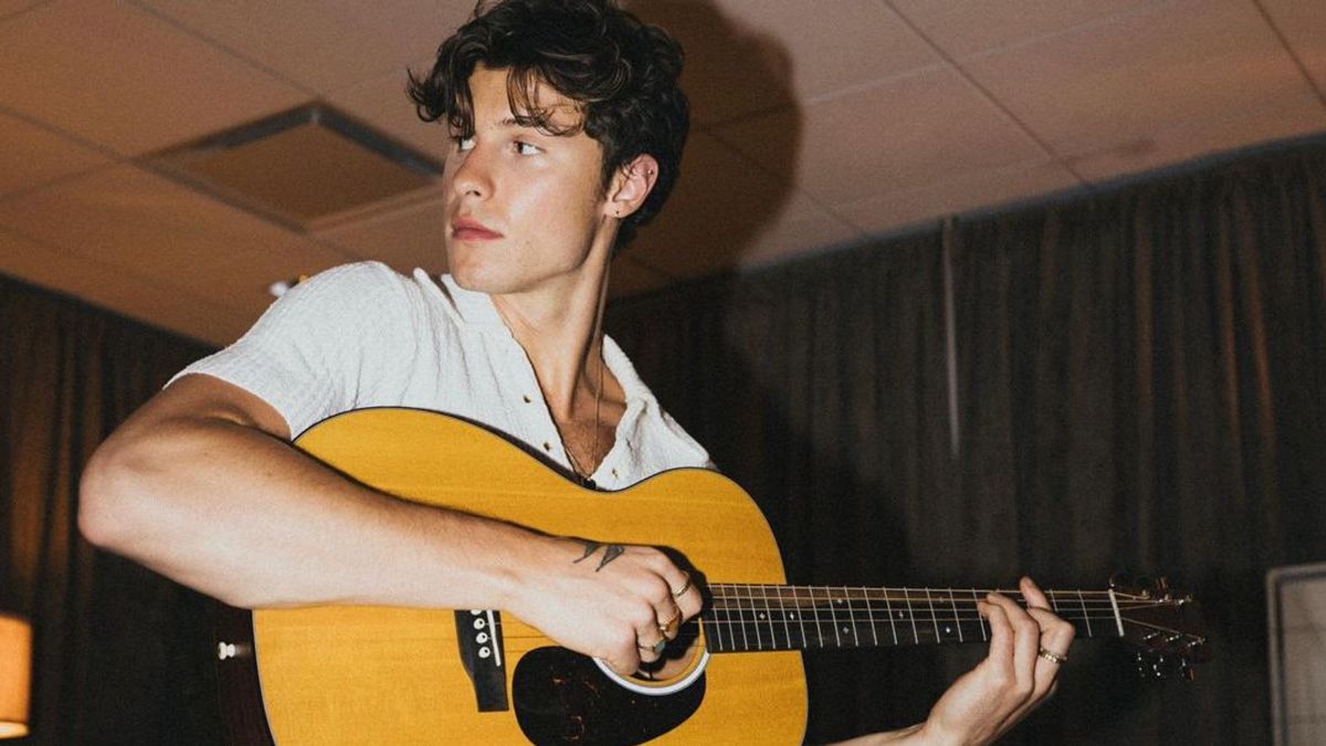 Shawn Mendes' Story Sets A Tour To Overcome Mental Health Problems
