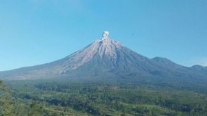 Mount Semeru Erupts Twice, Rainy Vibrations Recorded Up To 4 Hours