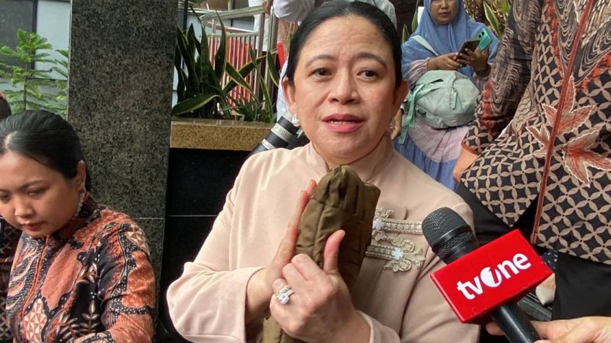 Puan Maharani Soal Pertemuan Lanjutan Megawati-Prabowo: Secepatnya, Insyaallah