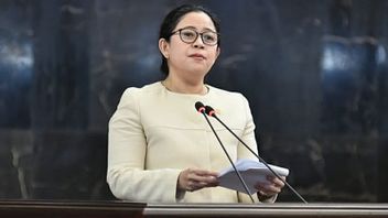 Merajalela di Medsos, Ketua DPR Puan Maharani Diminta Lawan <i>Buzzer</i> Hoaks