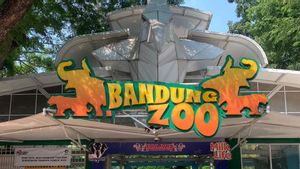 Pengelola Putar Otak agar Keberlangsungan Bandung Zoo Bukan Sekadar Tempat Rekreasi