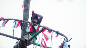 [FOTO] Bagai Tiada Corona dalam Lomba Panjat Pinang di Kampung Pinang