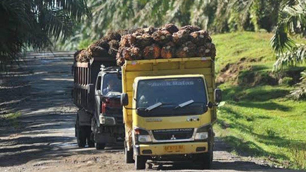 Agrarian Conflict Of Palm Oil Plantation Infects Victims In Central Kalimantan, SPKS Condemns Official Repressive Action