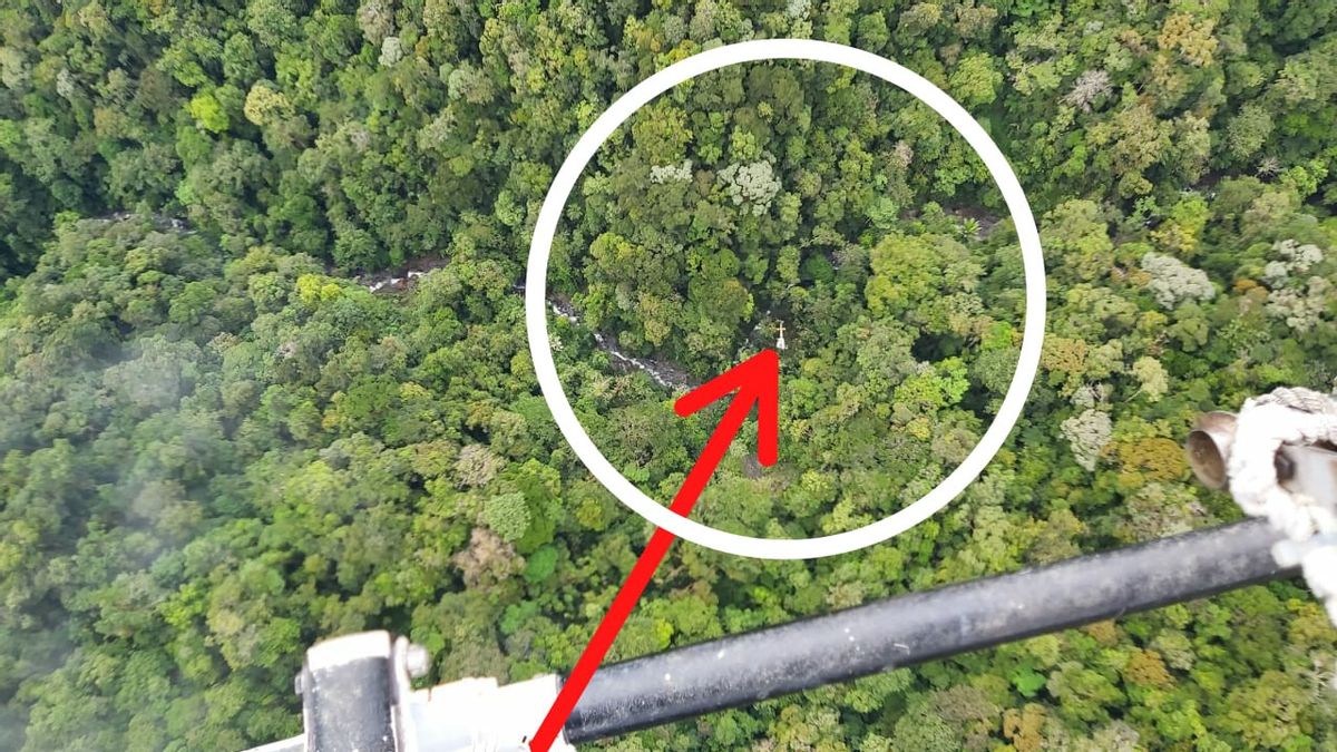 Helikopter yang Hilang Ditemukan di Lebatnya Hutan Papua, Ada Kru Lambaikan Kain Merah