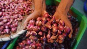 Badanas Records Red Onion Price Of IDR 38,570 Per Kg, Chicken Meat IDR 34,931