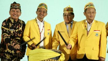 Golkar Copot Musa Rajehkshah dari Ketua DPD Sumut, Tunjuk Ahmad Doli Kurnia Jadi Plt