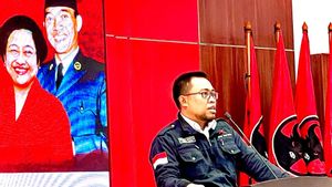 Jelang Pilpres 2024, Repdem: Kita Tunggu Komando Ibu Megawati