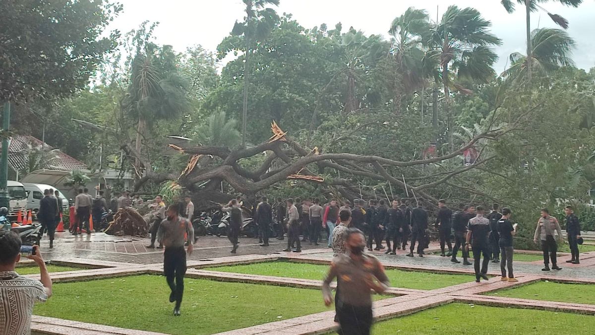 5 Sabhara Polda Metro Jaya yang Jadi Korban Pohon Tumbang di Balai Kota DKI, 1 Anggota Patah Tulang