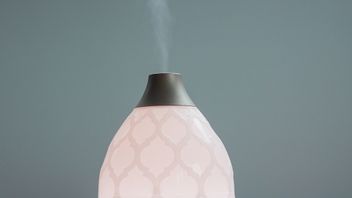 Air Purifier, Humidifier, Diffuser, To Clean Air, What's The Difference?