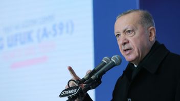 Turki Harapkan Langkah Nyata Sekutu, Presiden Erdogan: Perluasan Aliansi yang Mengabai Keamanan Tidak Menguntungkan Kami atau NATO