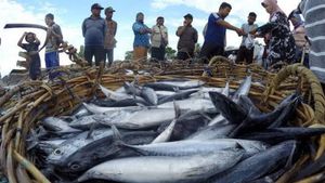 Realisasi Investasi Bidang Perikanan Melesat 36,29 Persen, Jatim jadi Provinsi Penyumbang Tertinggi