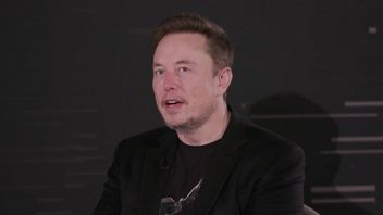 Elon Musk: People Don't Have To Work With AI
