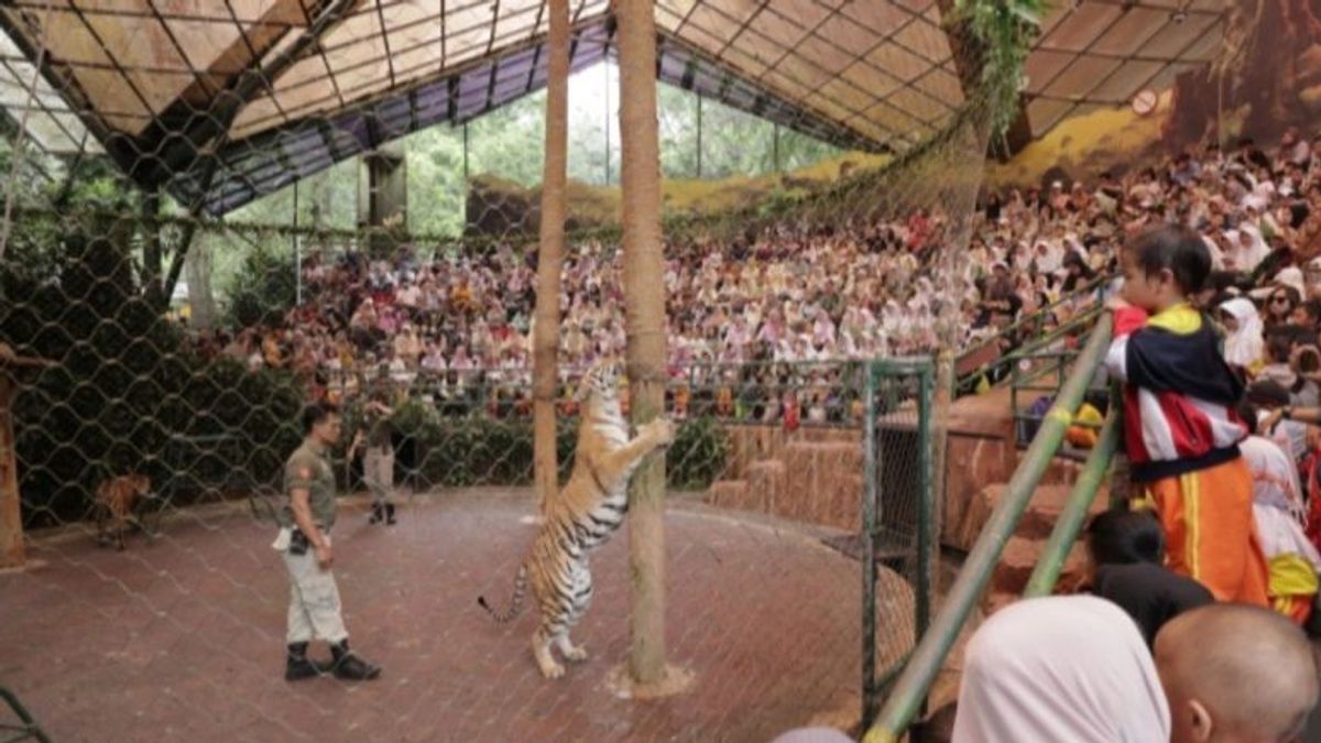 Mengenal Oriental Circus Indonesia: Sejarah dan Masa Keemasannya