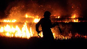 جاكرتا (رويترز) - نجح حريق الأراضي الزراعية الذي أودى بحياة 12 شخصا في تركيا في السيطرة عليه.