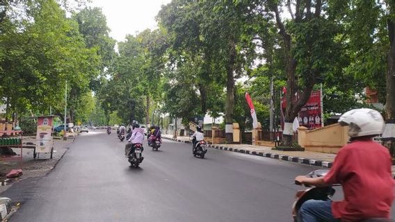 Kota Mataram Siapkan Jalur 100 Persen Bebas dari Pohon Tumbang, Caranya?