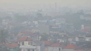 廖内卫生局要求摄政/城市注意雾霾的影响