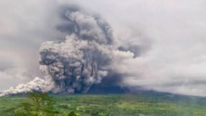 Basarnas Intensifkan Evakuasi Warga Antisipasi Letusan Susulan Semeru