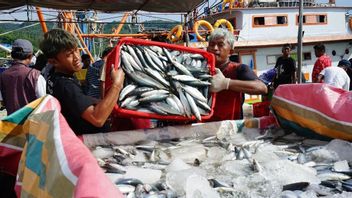 26人増加し、インドネシア漁業会社は現在、台湾に輸出できるようになり、693 UPI となっています。