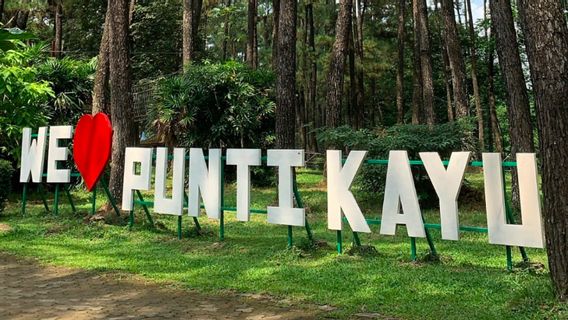 Explore Punti Kayu, Nature Tourism Park In Palembang Filled With Pinus