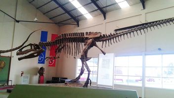 أحافير باتاغونيا تكشف الديناصورات الجوراسية لديها بالفعل عقلية القطيع