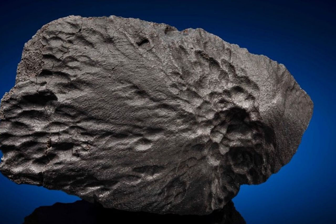 オンライン限定商品】 ⭐火星の石！シャーッゴッタイト 12594 隕石標本 