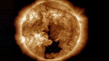 週に2回、太陽の表面を引き裂く巨大な角質穴