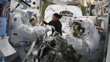 空中用途冷却漏水,NASA取消了空间站的Spacewalk议程