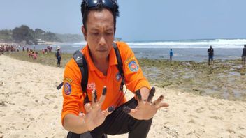 Rumput Laut Berubah Warna jadi Hitam, DLH Gunungkidul Telusuri Limbah Cair Cemari Pantai Krakal dan Slili