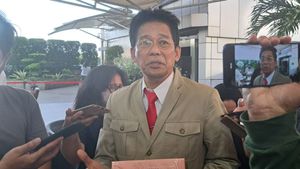 Dewan Pengawas Bakal Sidang Wakil Ketua KPK Johanis Tanak Pekan Depan
