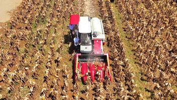 Aksi Presiden Prabowo Operasikan Corn Harvester