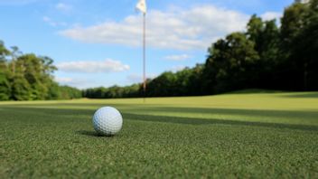 计算打高尔夫球的成本及其对健康的益处 