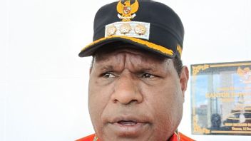 ヤリ族とランニー族の戦争は平和に終わる、ワメナは再び安全