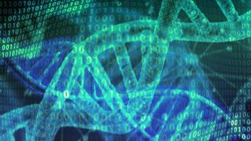 科学家可以在DNA中保存2.5GB文件