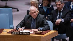 EU外交官:ラファへの攻撃は、イスラエルが言うように、殺害された民間人の数を増やすだけです