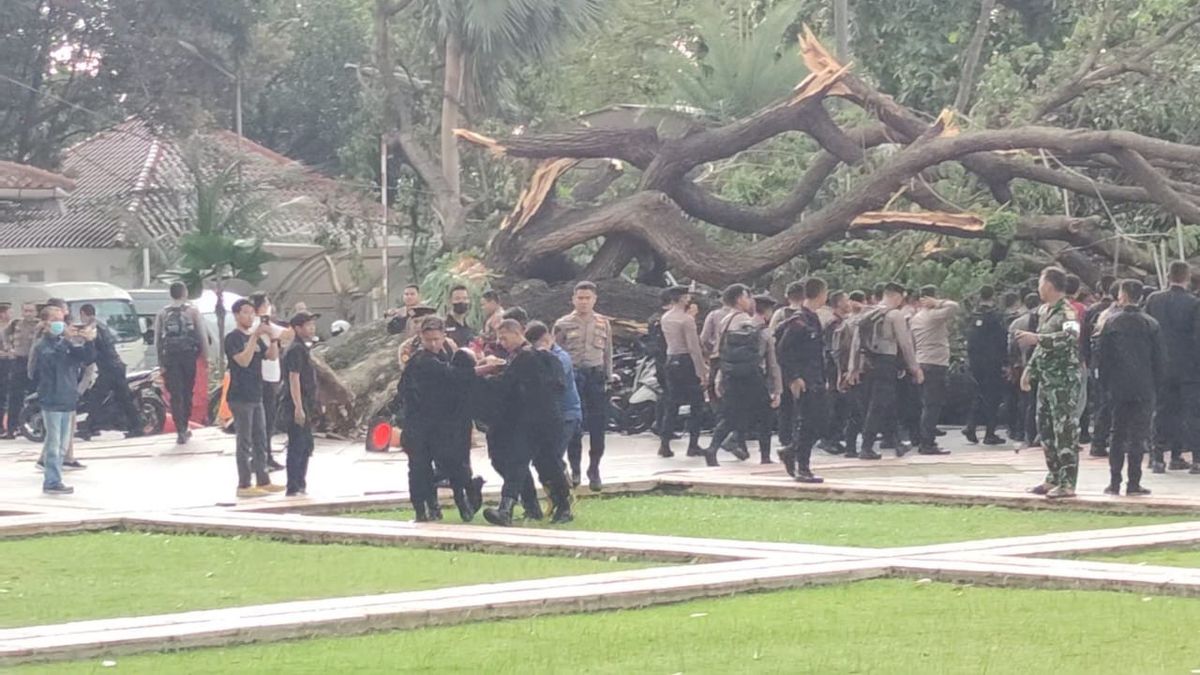 Pohon Besar di Halaman Balai Kota DKI Tumbang Timpa Polisi, 4 Orang Dilarikan ke Rumah Sakit