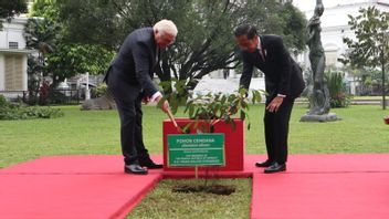 جوكوي والرئيس الألماني فرانك فالتر شتاينماير يزرعان أشجار خشب الصندل في قصر بوغور
