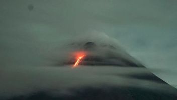 Berita DIY: Guguran Lava Pijar Meluncur Lima Kali Dari Gunung Merapi Sejauh 1.200 Meter